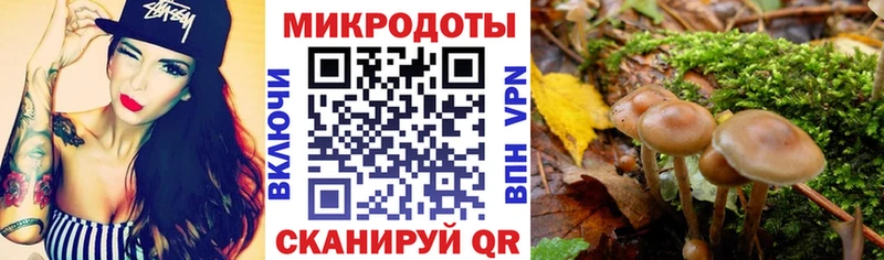 гидра ТОР  Нерюнгри  Псилоцибиновые грибы Psilocybine cubensis 